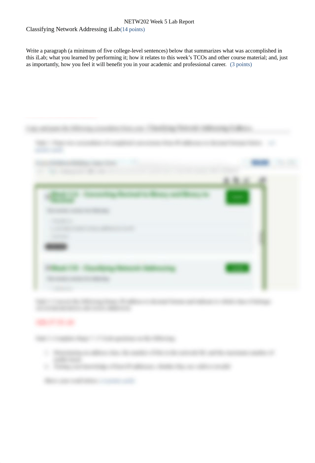 NETW202_W5_Lab_Report_Template_d21q49tmhnl_page3