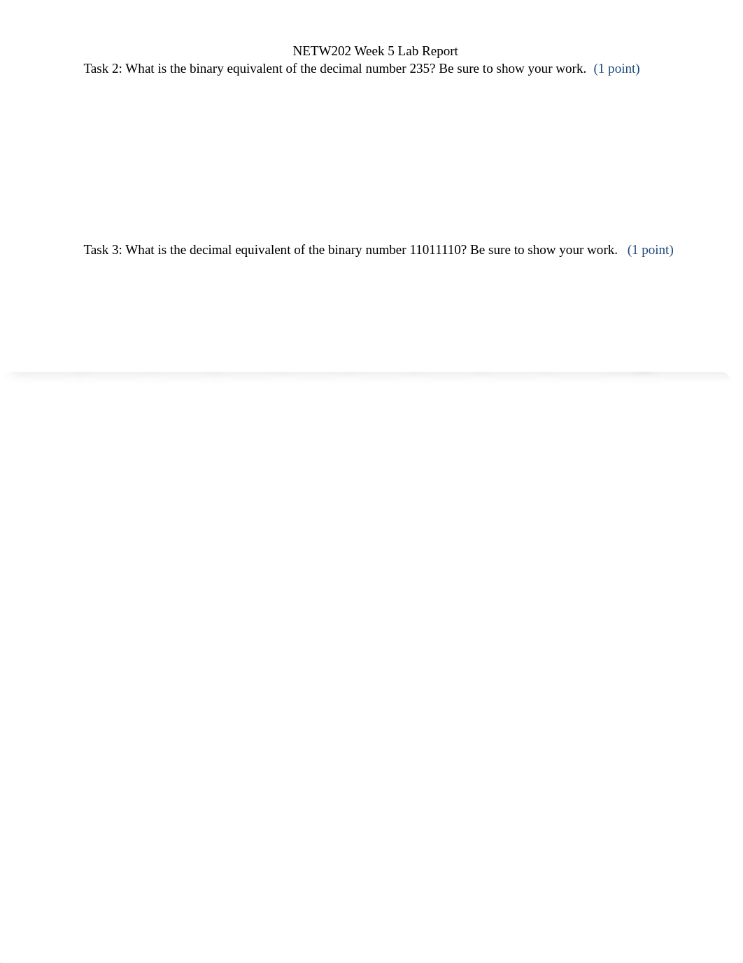 NETW202_W5_Lab_Report_Template_d21q49tmhnl_page2