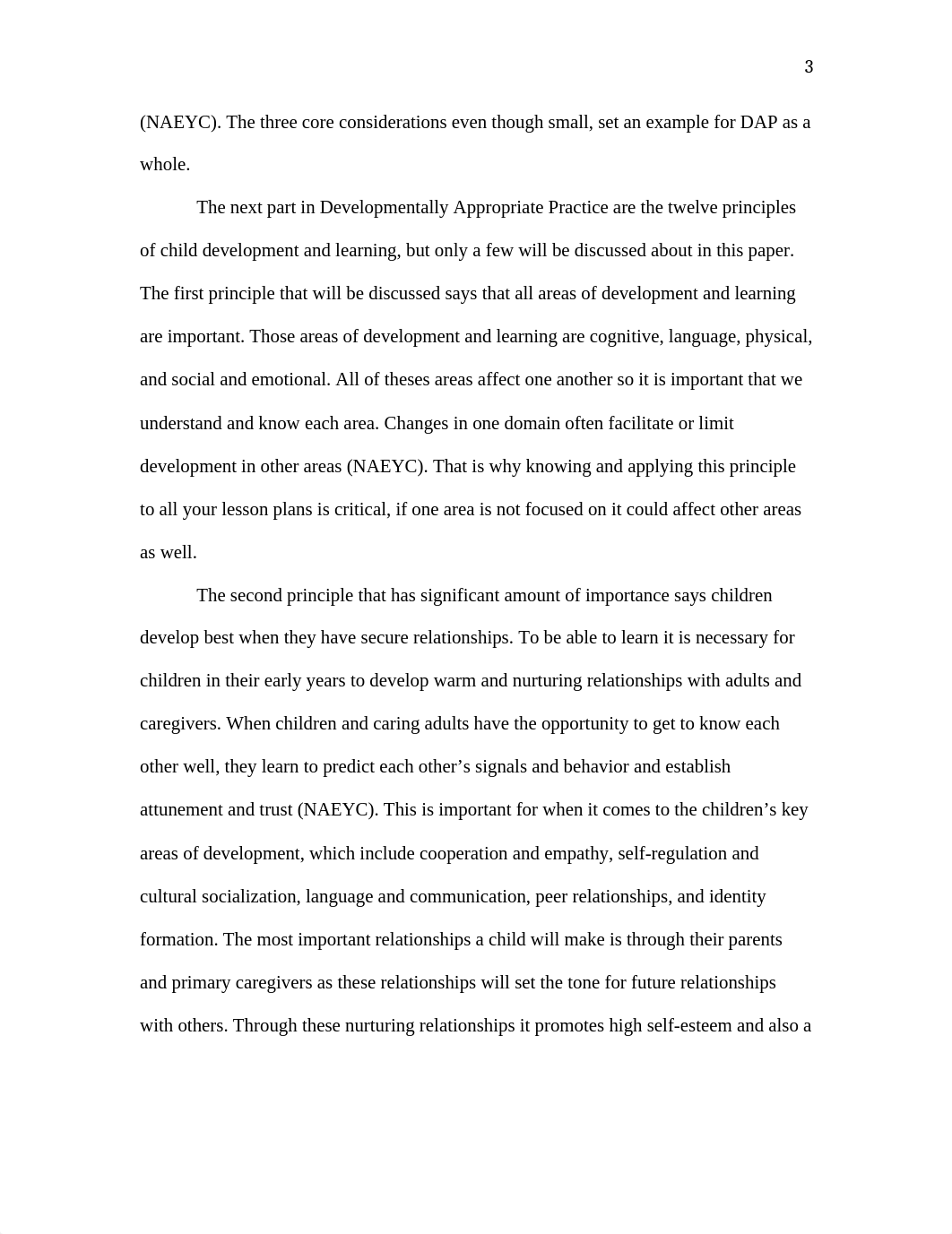 Developmentally Appropriate Practice essay.docx_d21w4jqufio_page4