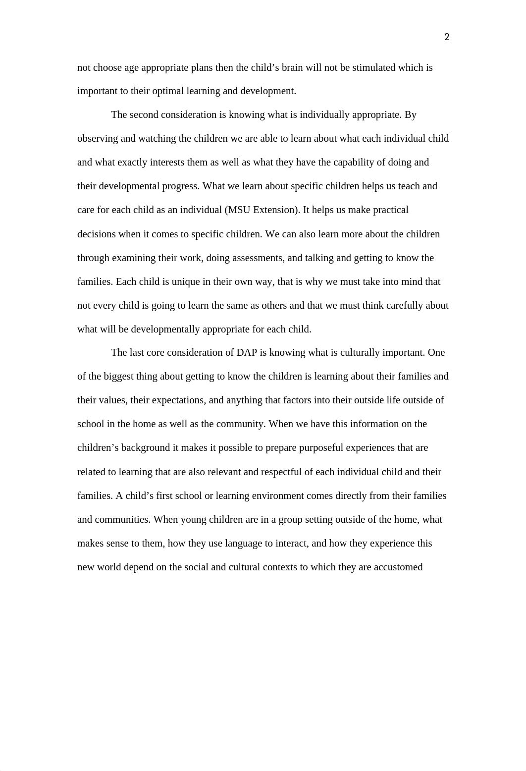 Developmentally Appropriate Practice essay.docx_d21w4jqufio_page3