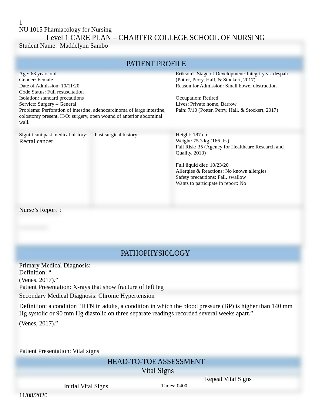 Rough draft care plan 2.docx_d21xr5924df_page1