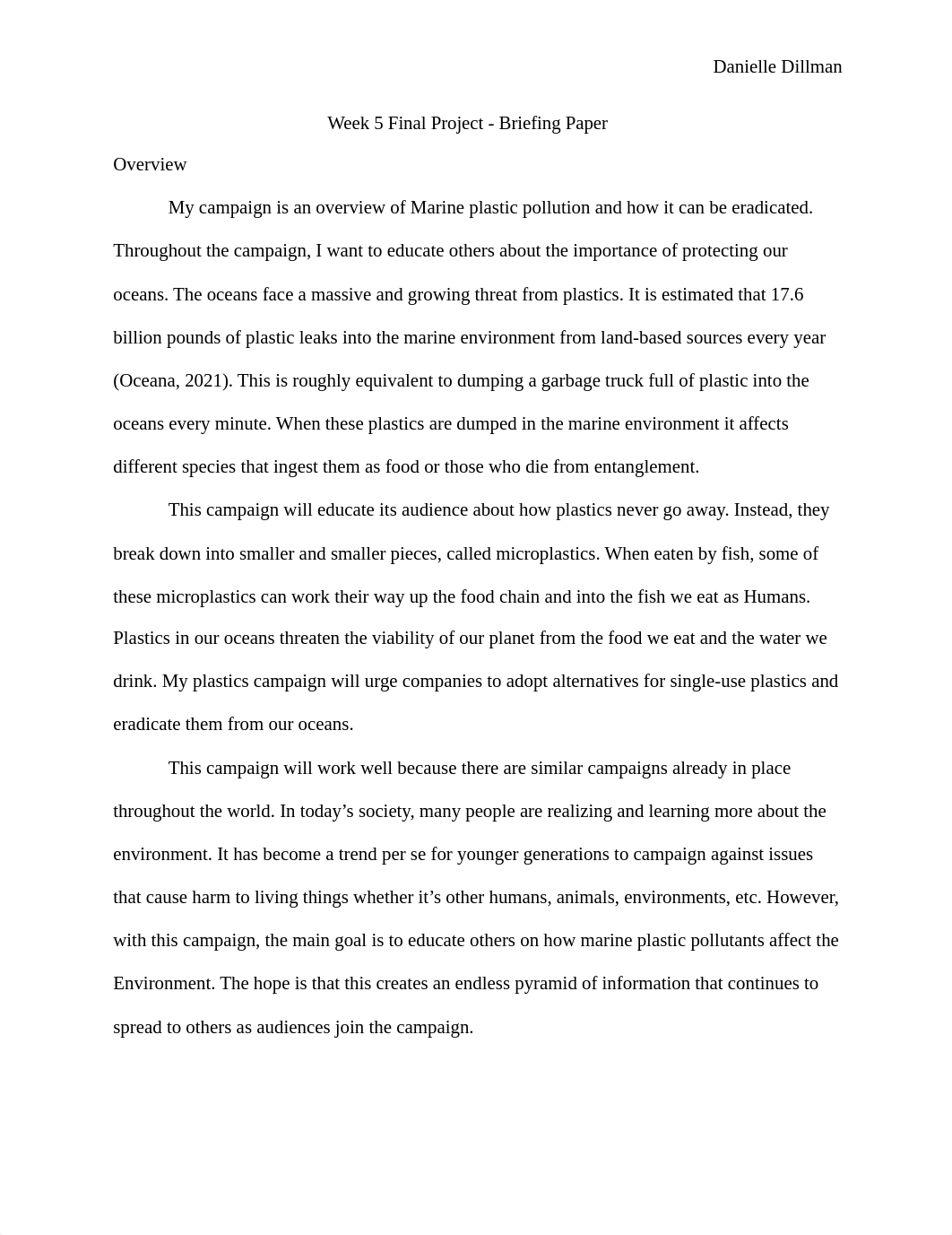 Week 5 Final Project - Briefing Paper.docx_d220hbk0rj9_page1