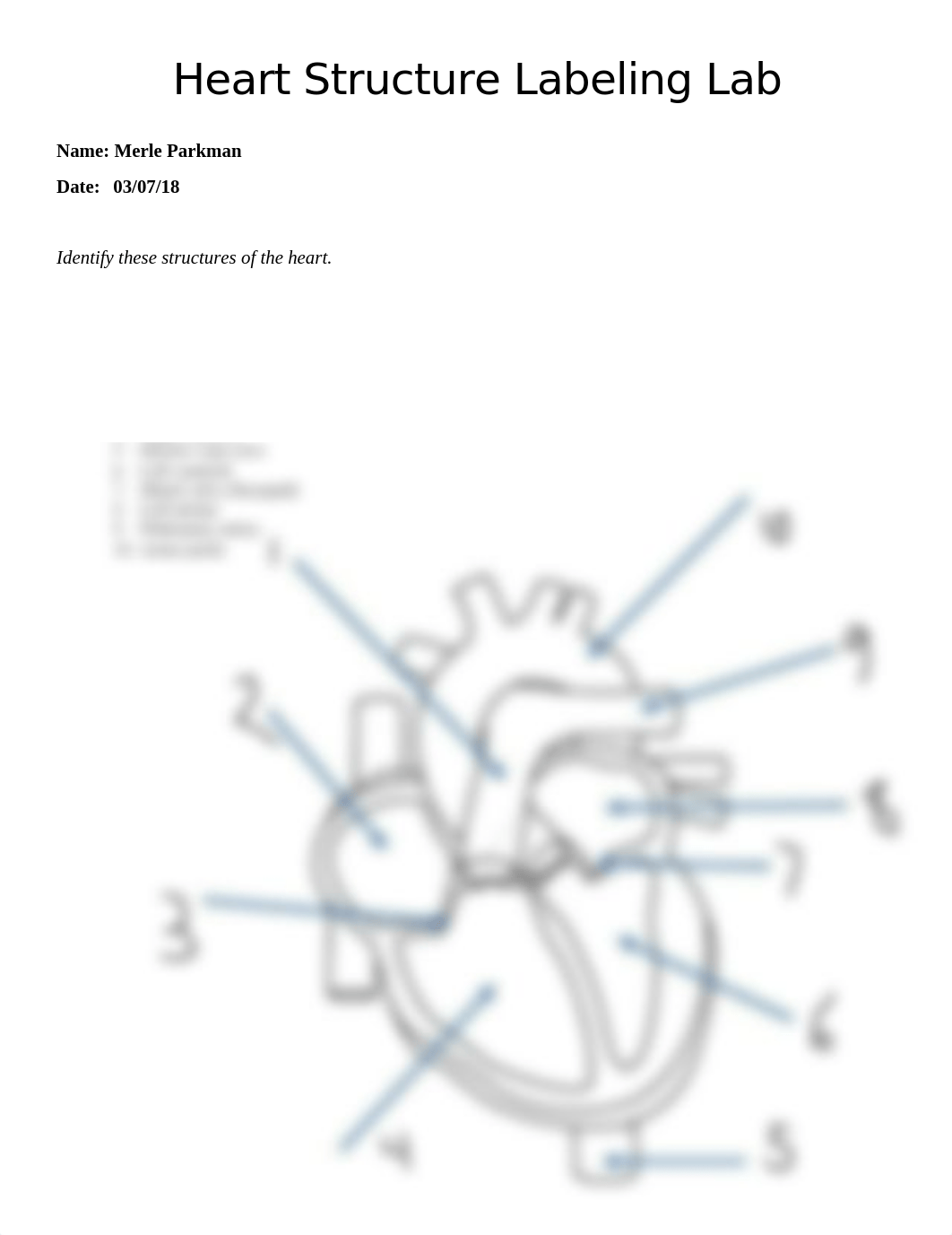 Heart Structure Labeling.docx_d227pkdn0kv_page1