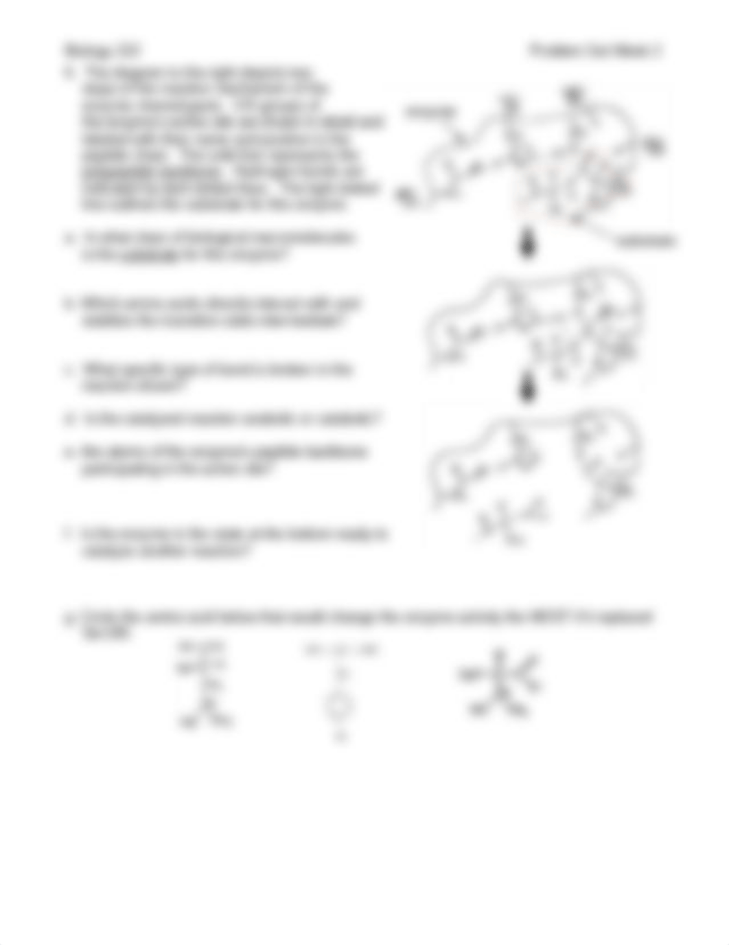 study questions- Biology.pdf_d22c3u7thry_page3