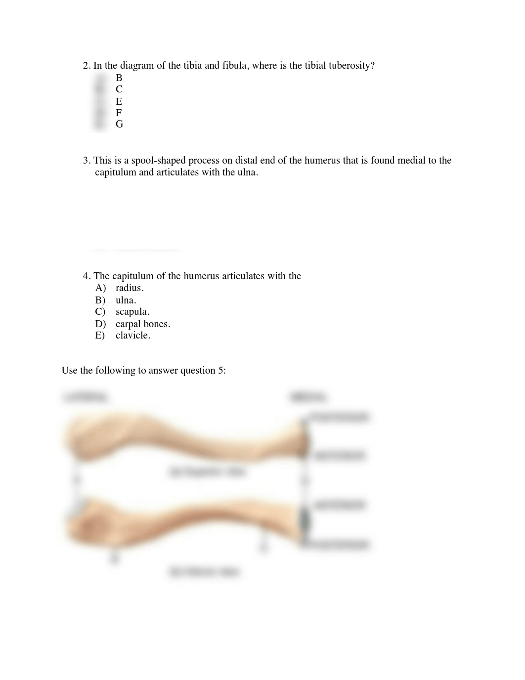 QB appendicular skeleton .pdf_d22e2e1jjgr_page2