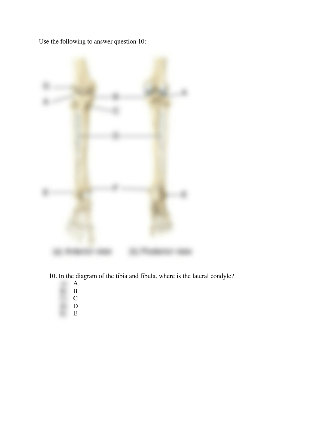 QB appendicular skeleton .pdf_d22e2e1jjgr_page4