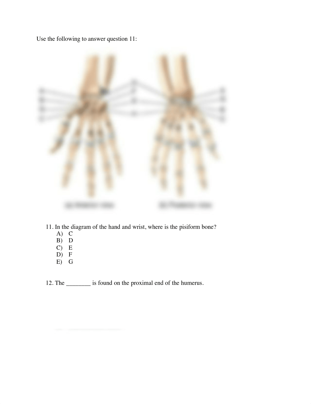 QB appendicular skeleton .pdf_d22e2e1jjgr_page5