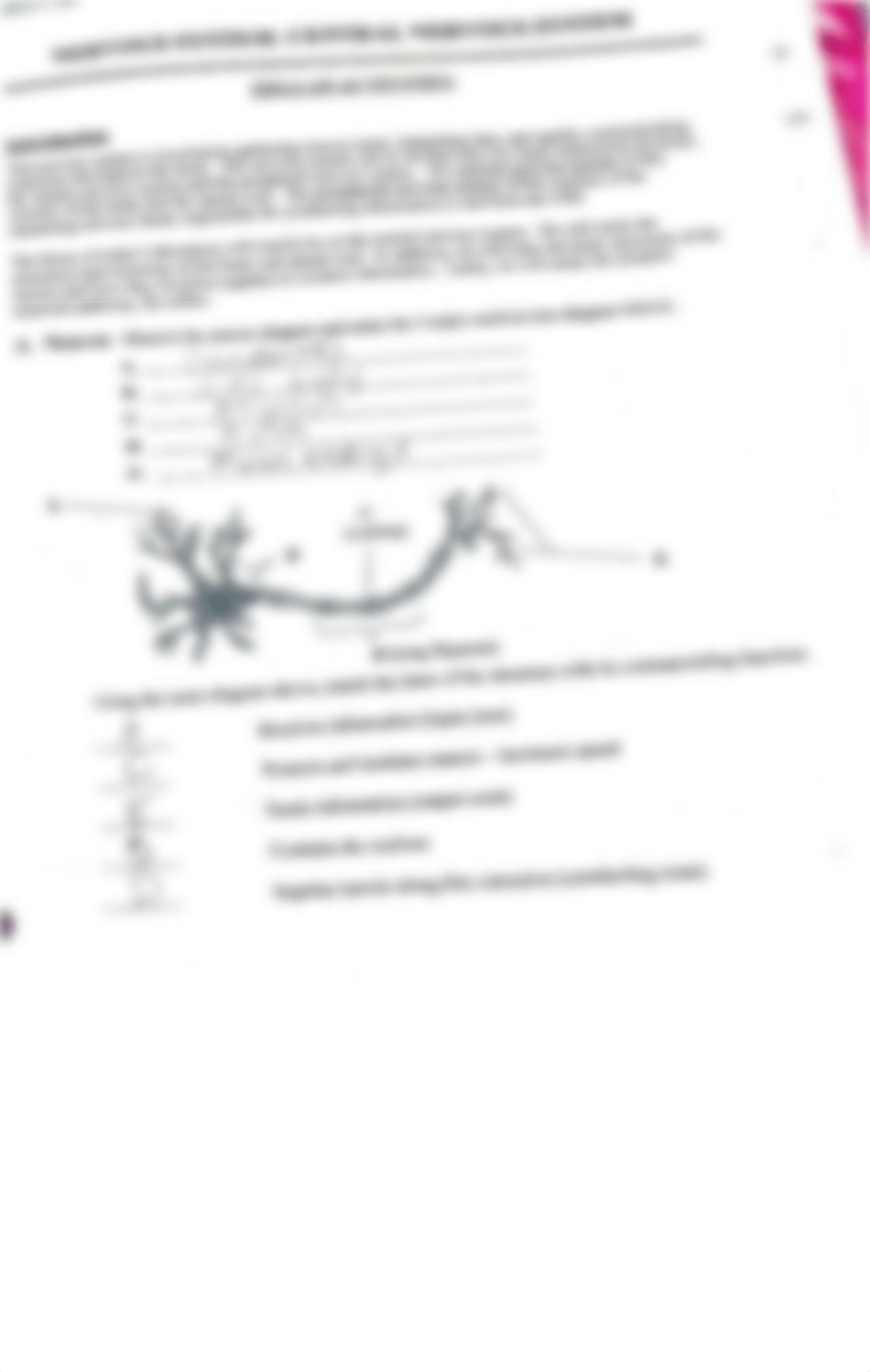 Central Nervous System Pre-Lab.pdf_d22mdmpm8gr_page1