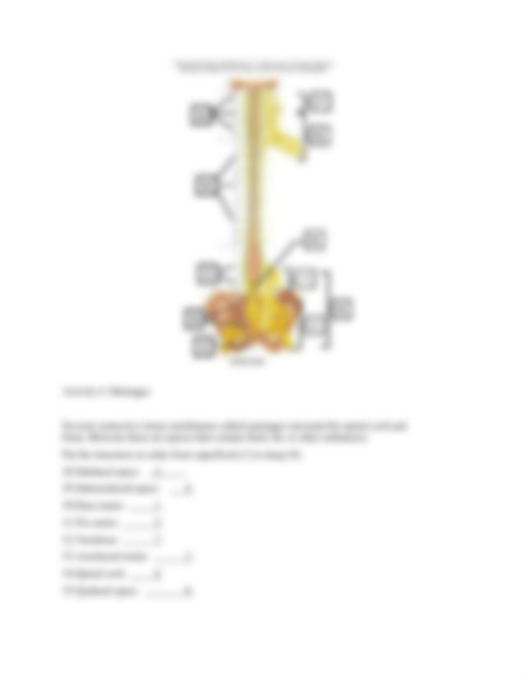 LabNervous (1).docx_d22tuk5qcei_page3