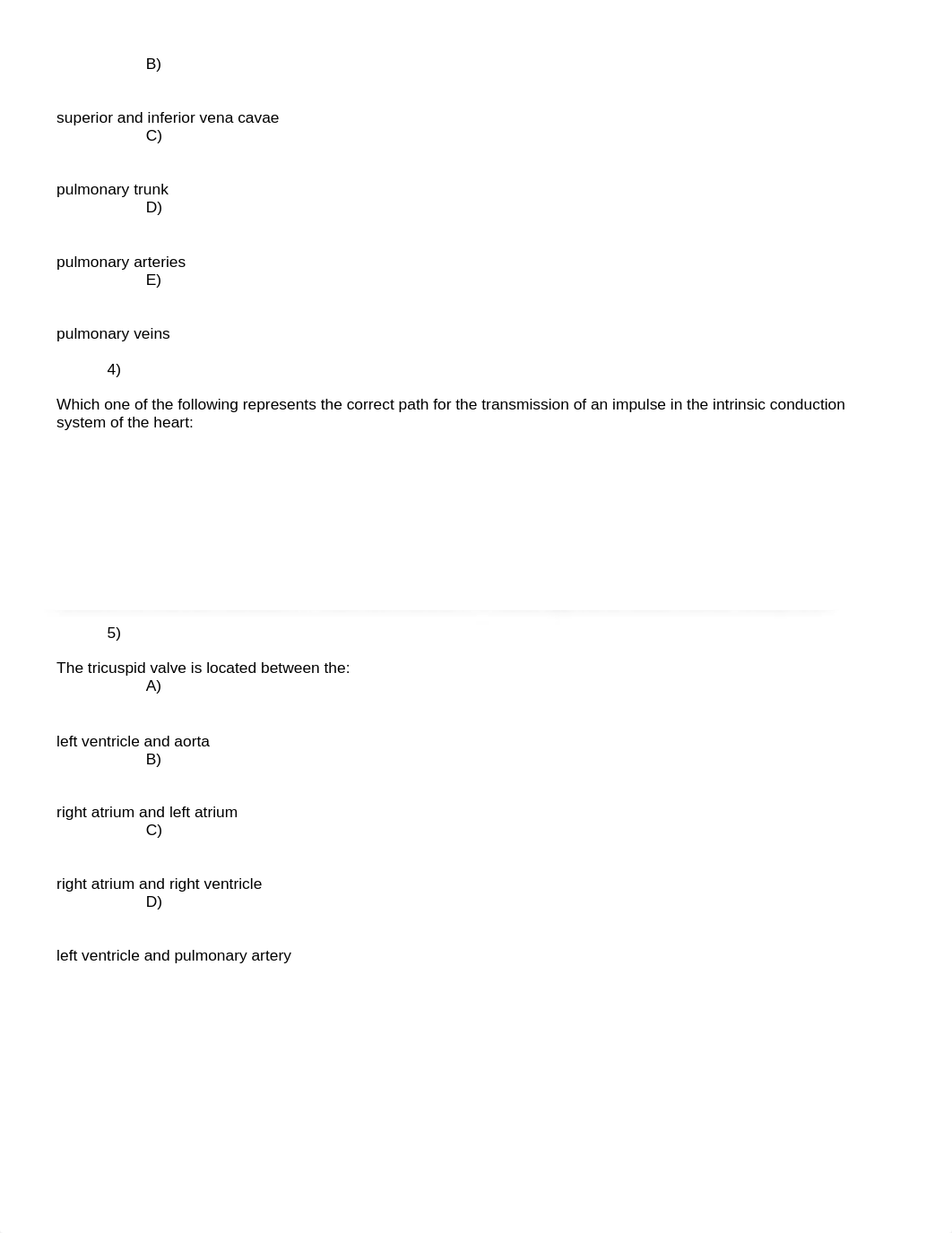 Homework Questions Chapter 18 (2).doc_d22v3b7dky9_page2