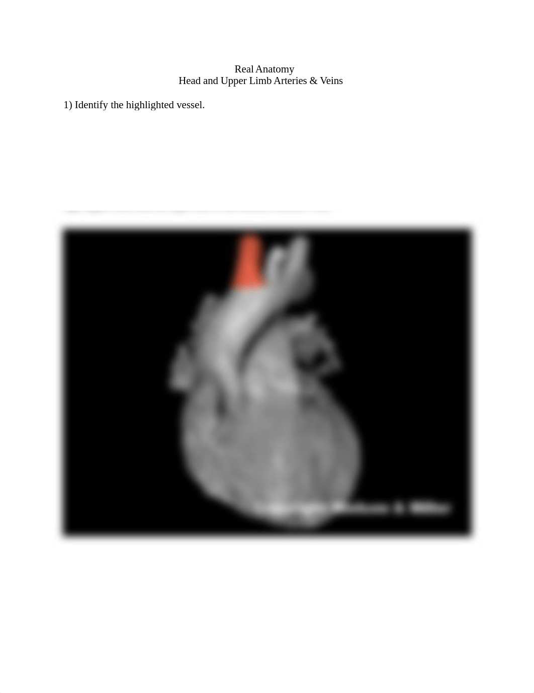 REAL_ANATOMY_LAB_03_head_and_upper_limb_arteries.docx_d22xpwtsc2x_page1