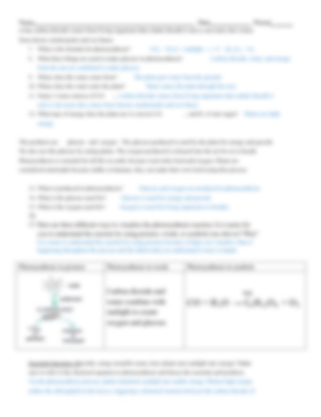 photosynthesis_worksheet_.pdf_d23msdi92oz_page2