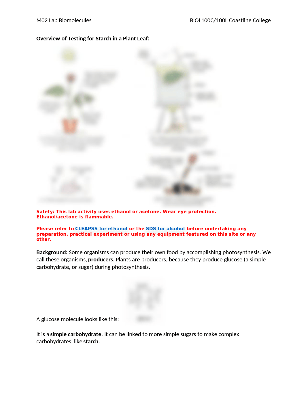 M02 Lab Biomolecules-2 (1).docx_d23so8gii75_page2