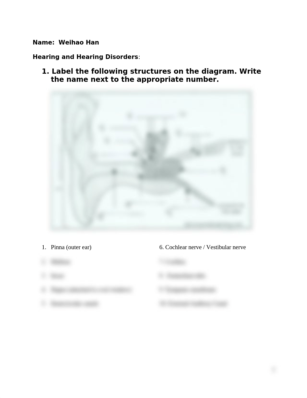 Ear Diagram.docx_d23zns7b7lh_page1