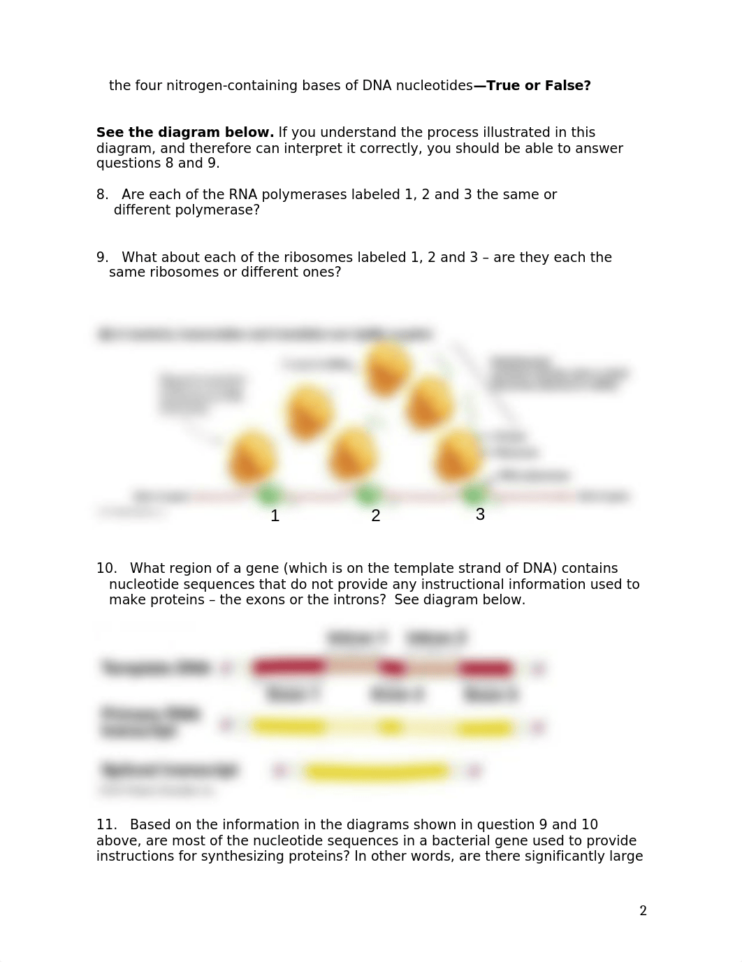 PreTest Questions, Chap 13 for Test 4 Mini Final.doc_d2446y9s33d_page2