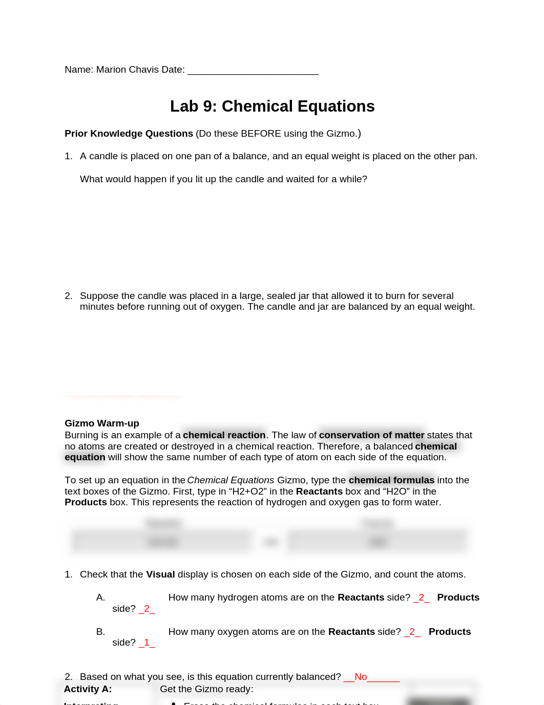 Lab 9 Chemical Equations.docx_d245ruhre8h_page1