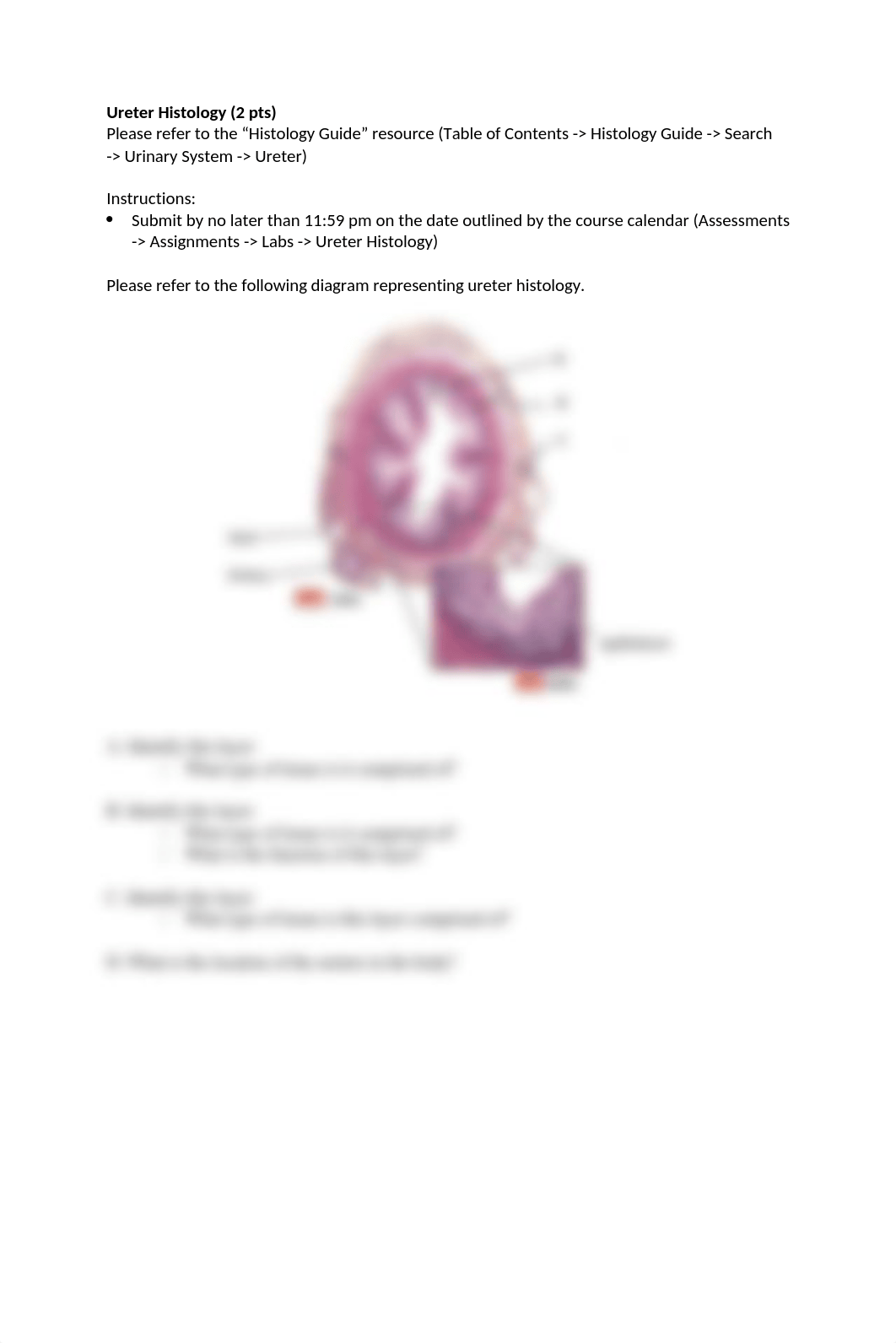 Ureter Histology.docx_d246omlolwm_page1