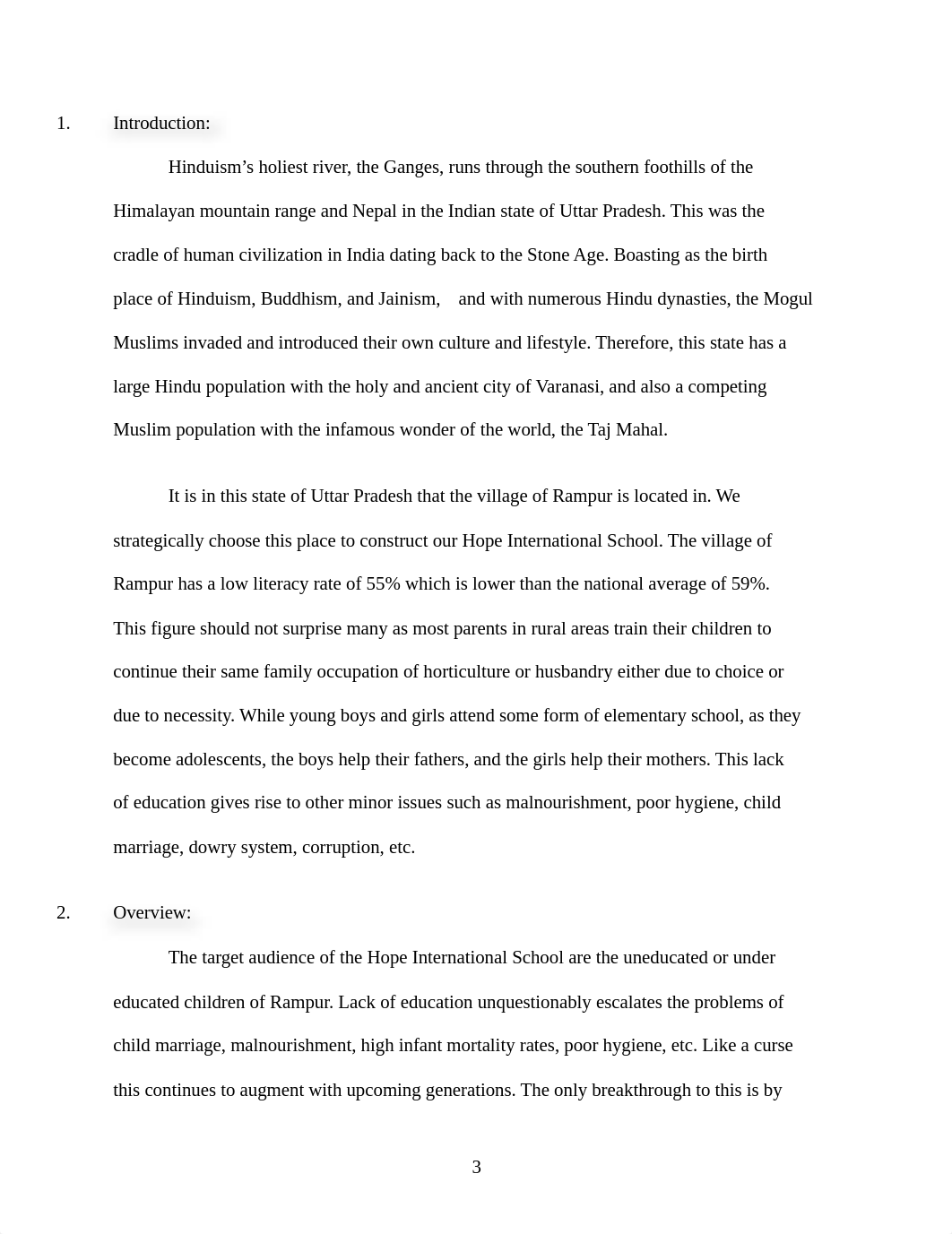 MOL 596 Leadership Brand Project.docx_d2484z02oly_page3