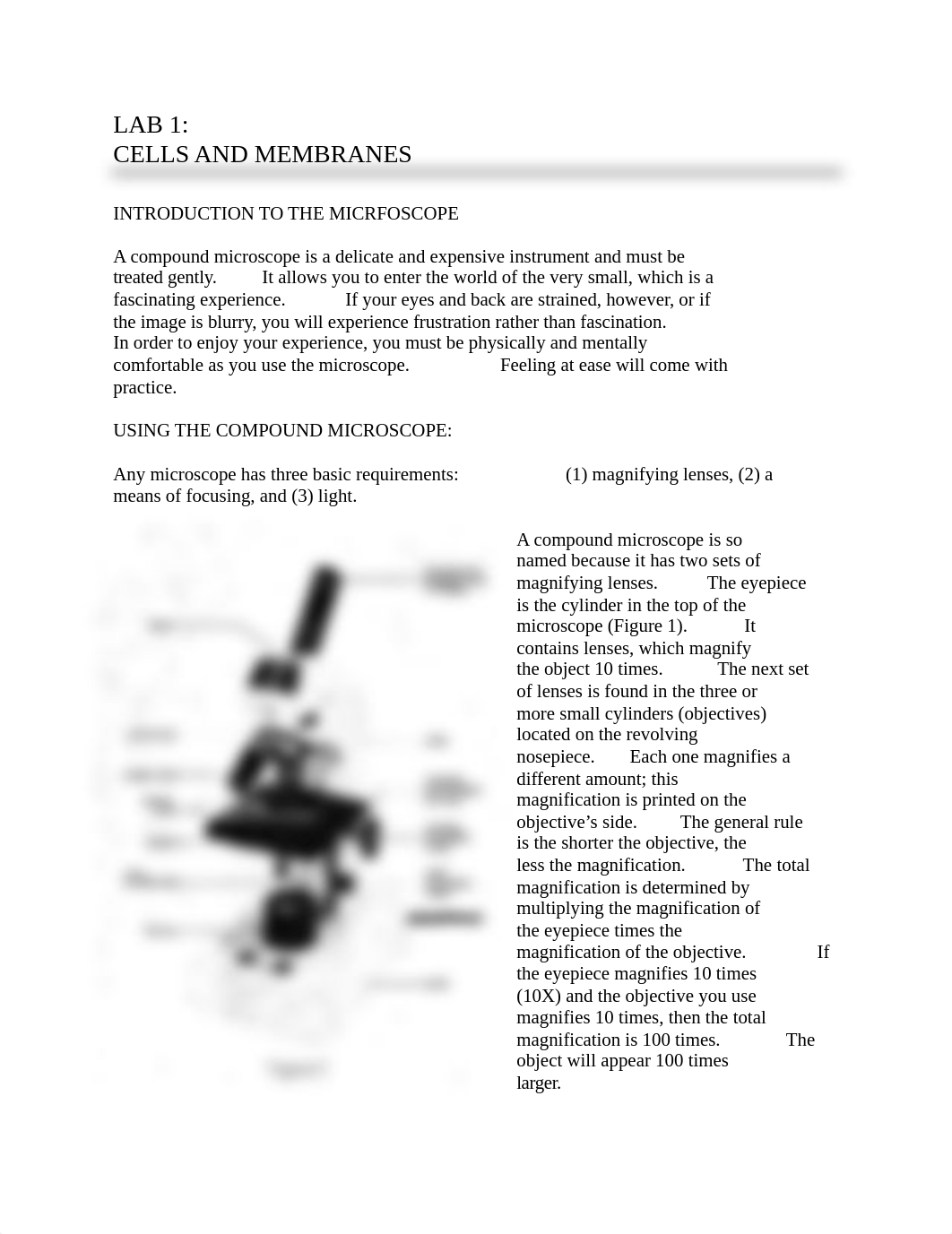 Bio 111 Lab 1 Cells and membranes.docx_d24kihjmb4r_page1