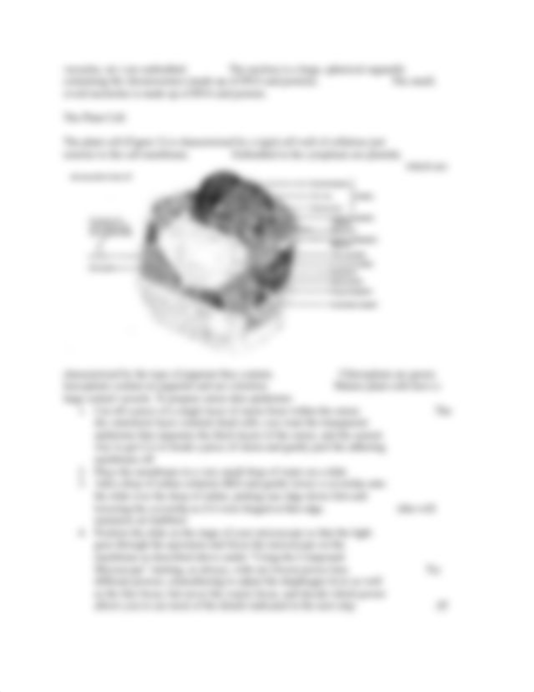 Bio 111 Lab 1 Cells and membranes.docx_d24kihjmb4r_page3