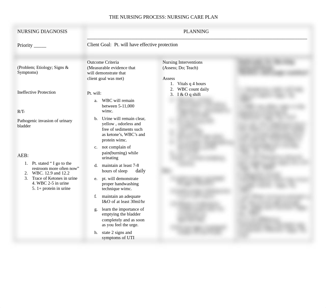 2nd graded careplan ineffective protection.doc_d24kzv5shye_page1