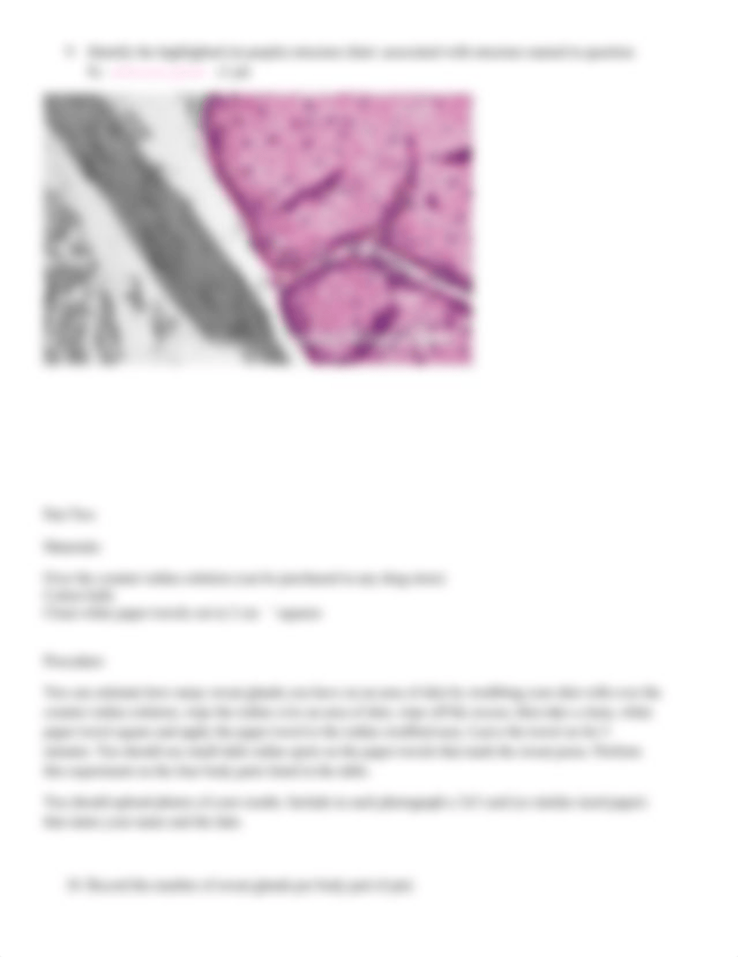 Lab 1 skin lab.docx_d24w7u1lt4v_page4