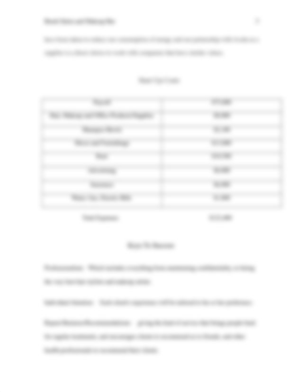 Brush Business Plan BUS115-11.docx_d250vun8y4s_page5