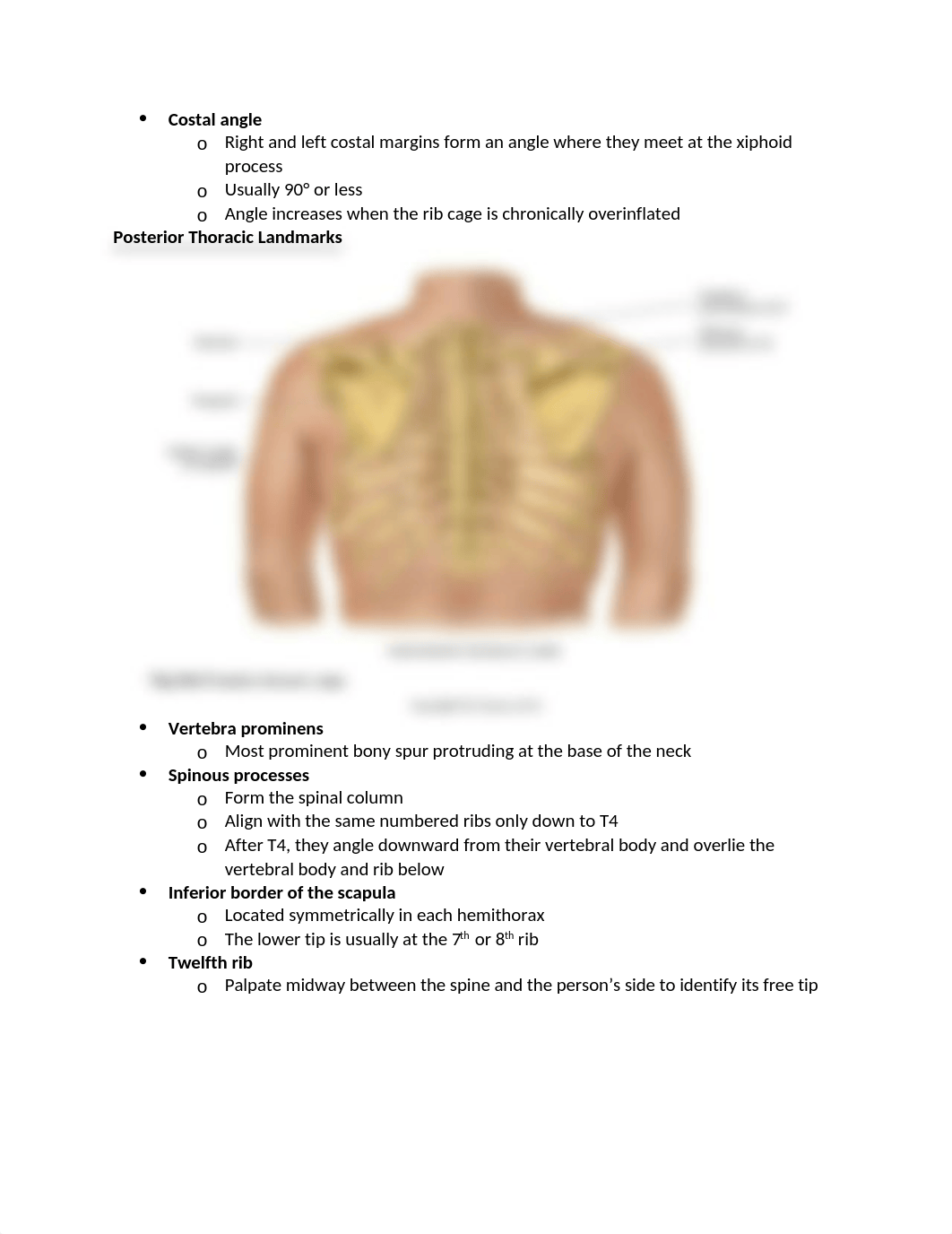 Chapter 19- Thorax and Lungs.docx_d252igxmda8_page3