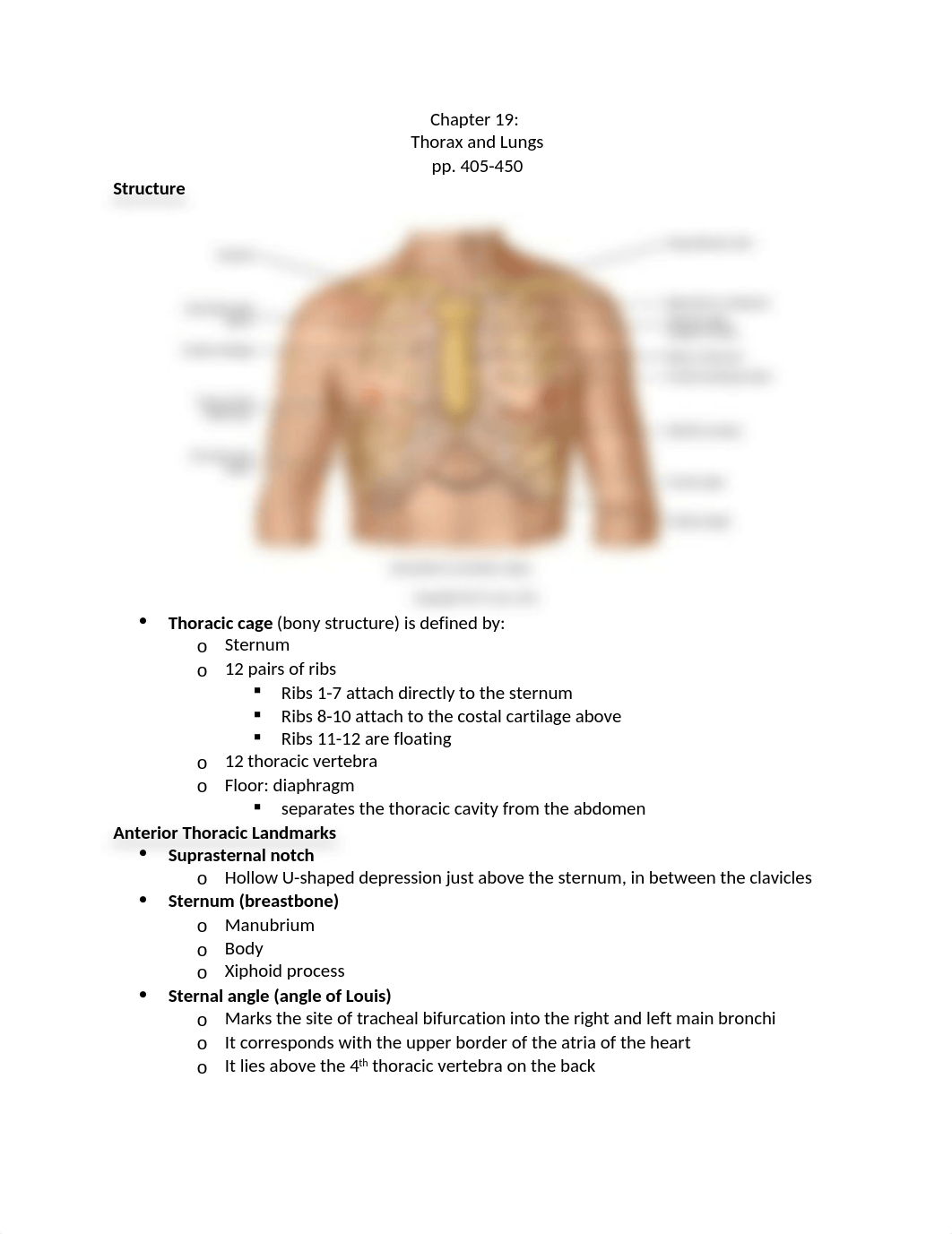 Chapter 19- Thorax and Lungs.docx_d252igxmda8_page1