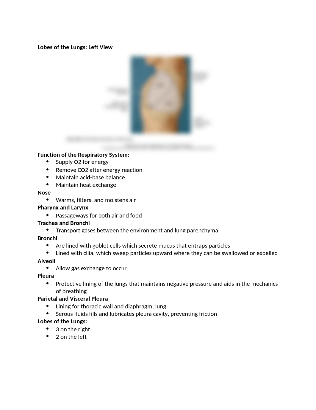 Chapter 19- Thorax and Lungs.docx_d252igxmda8_page5