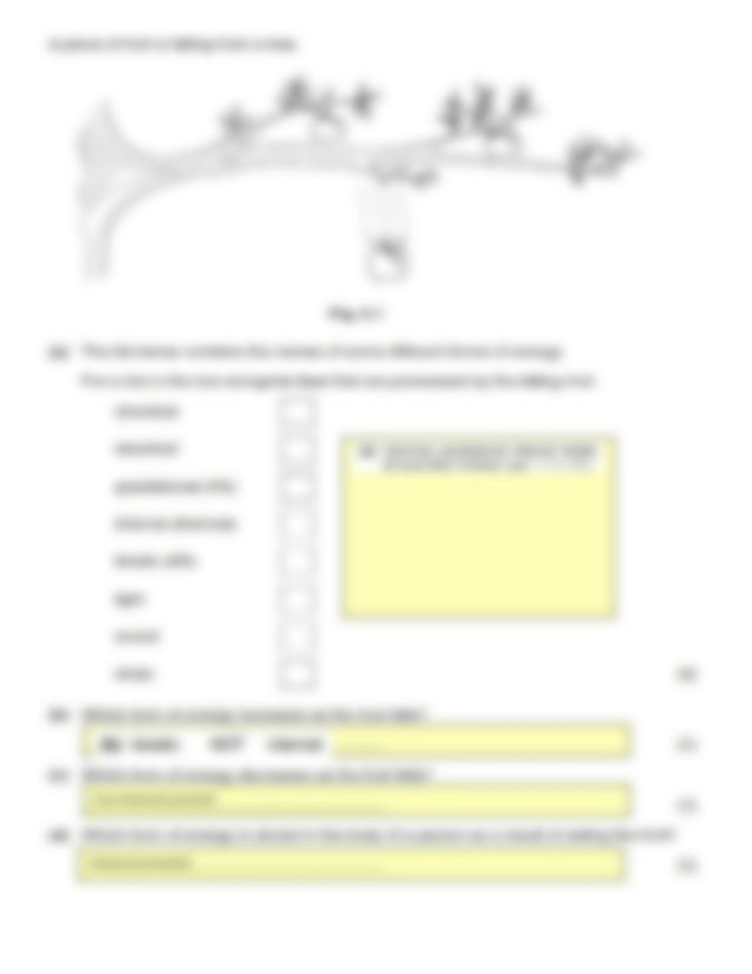 IGCSE_Physics_Homework_1-MS_d255j6rcsmv_page2