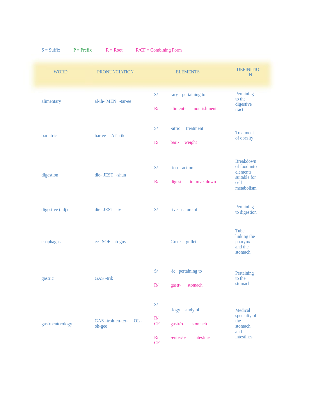 Vocab - Digestive System_d255pwhzxoi_page1