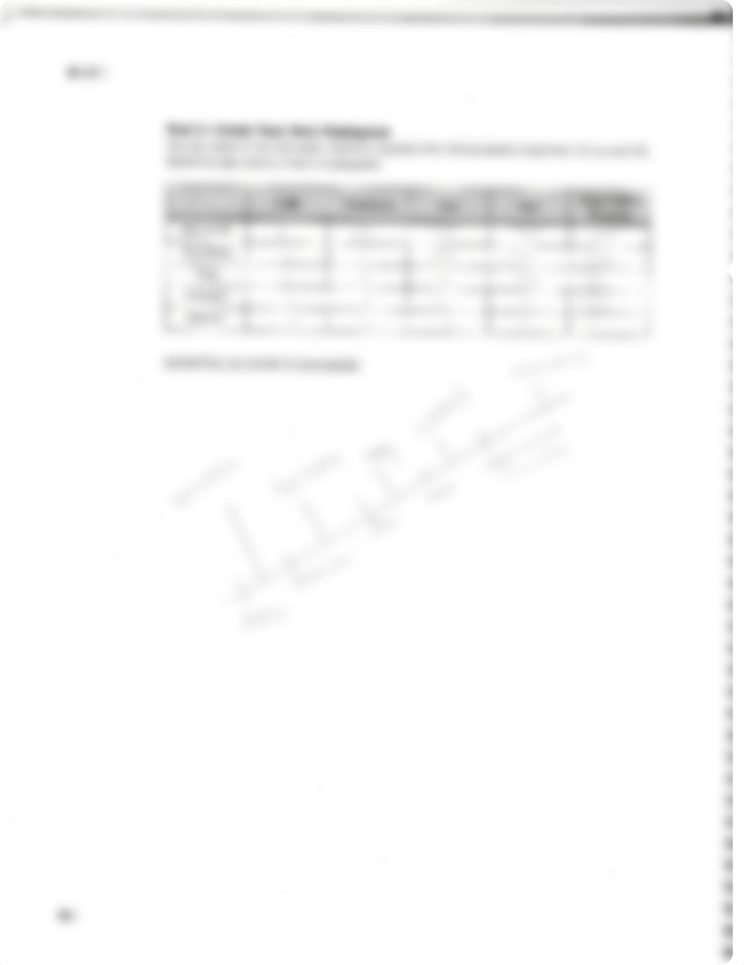 lab1 worksheets_20210611_0001.pdf_d25aamu158k_page2