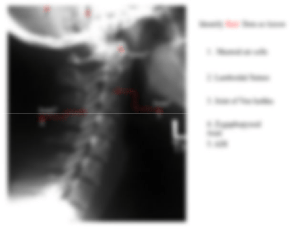 RADD 1611 Lateral Cervical_d25afzi3872_page5