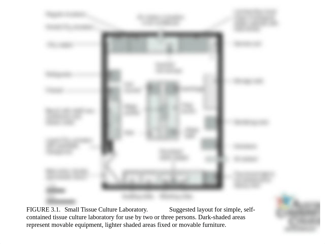 cell culture room.ppt_d25mnt3dmvd_page2
