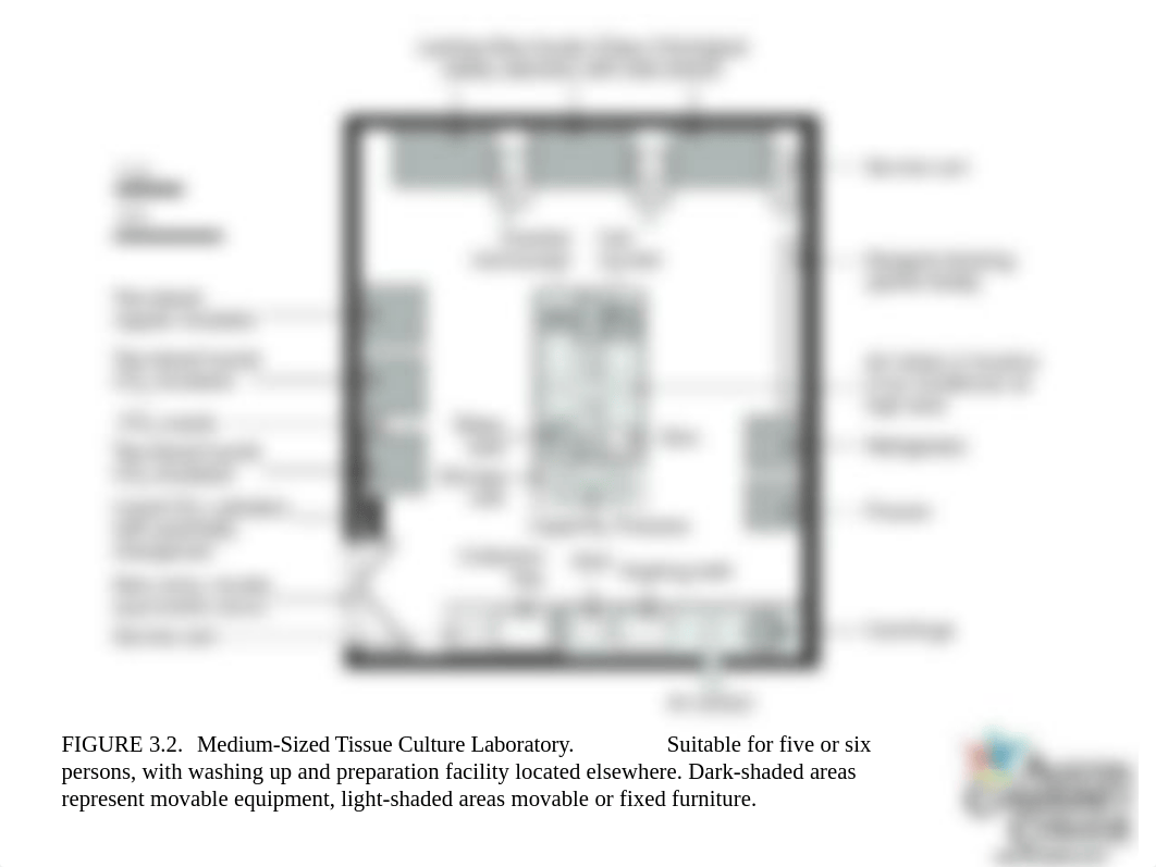 cell culture room.ppt_d25mnt3dmvd_page3