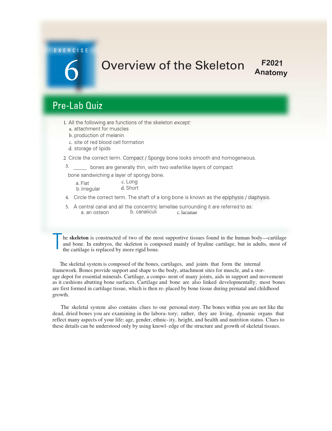 Lab6_Skeletal_System_Anatomy.pdf_d25yfs7jsx9_page1