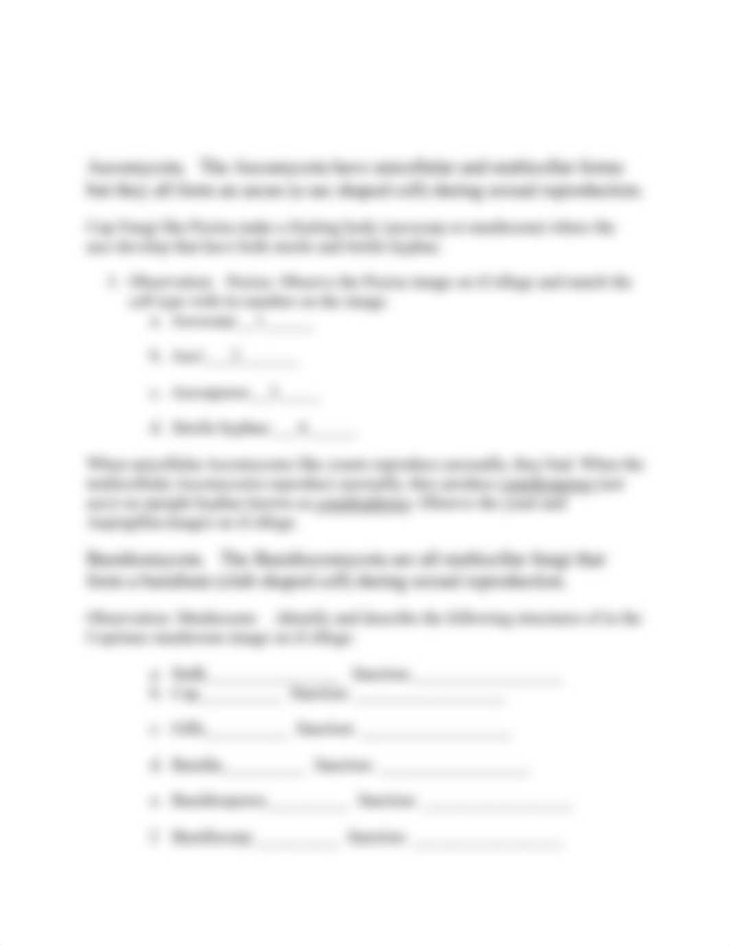 Fungi Lab Activity Worksheet (1).doc_d261fxi6tzh_page2