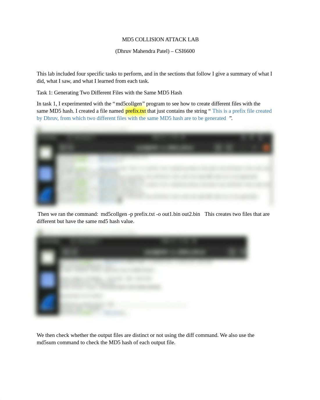 MD5_CollisionLab-DhruvPatel.docx_d263on3iptf_page1