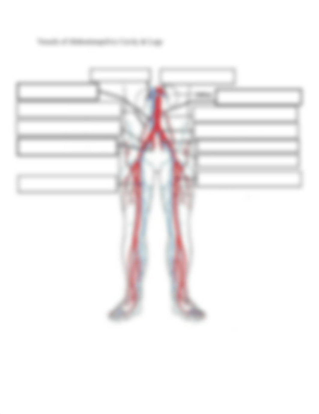 Blood Vessel Labeling.pdf_d265i6tcc34_page2