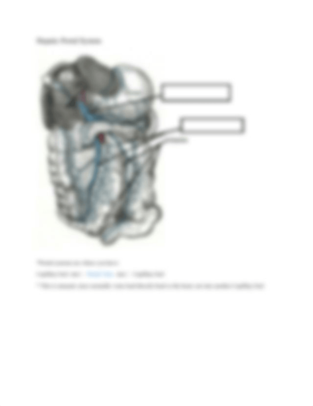 Blood Vessel Labeling.pdf_d265i6tcc34_page4