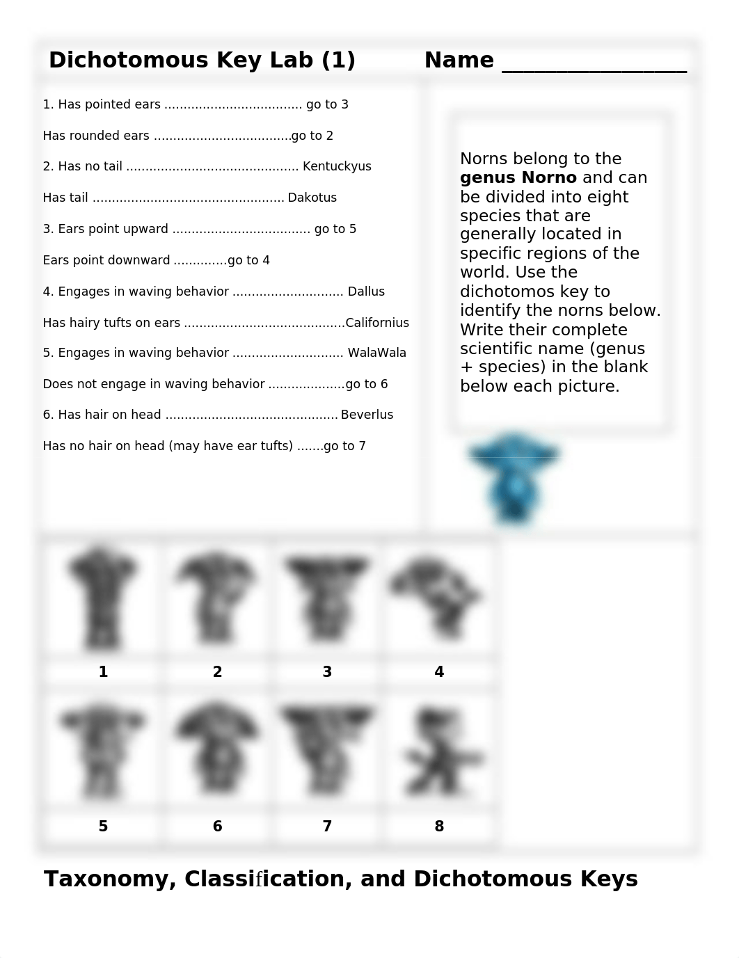 Dichotomous Key.doc_d267na8sqdd_page1