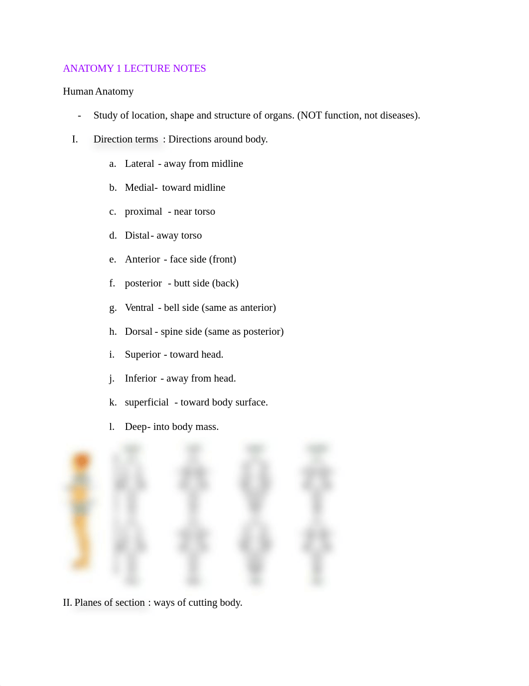 anatomy lecture 1 notes.docx_d26e0zltdgj_page1