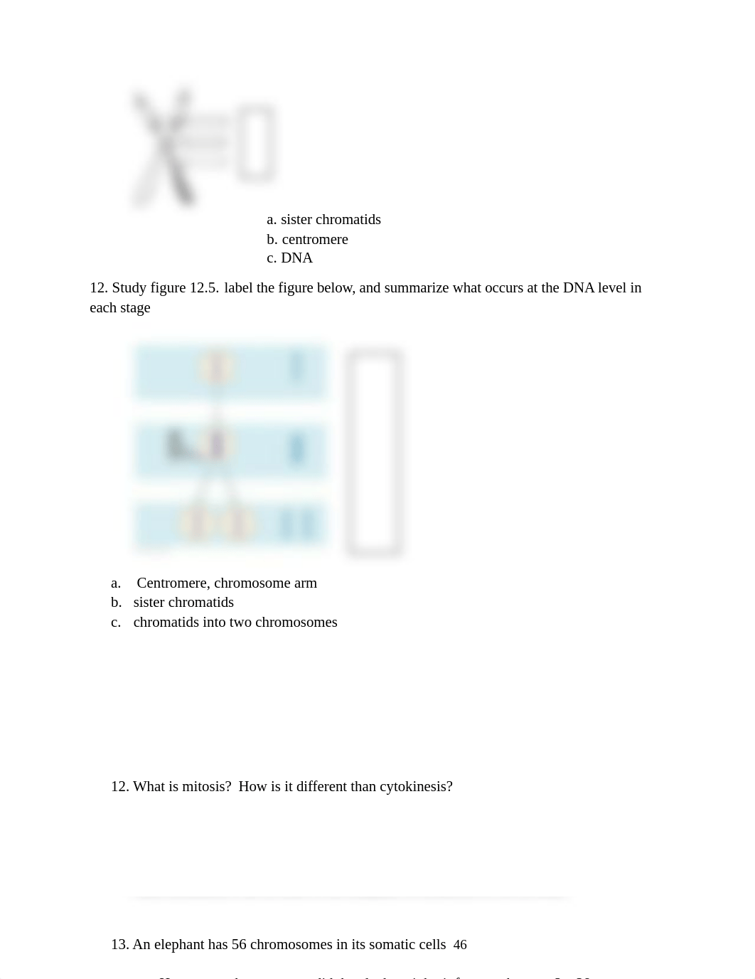 Guided Reading Chapter 12 cell Cycle-1.docx_d26fm15hzy4_page2