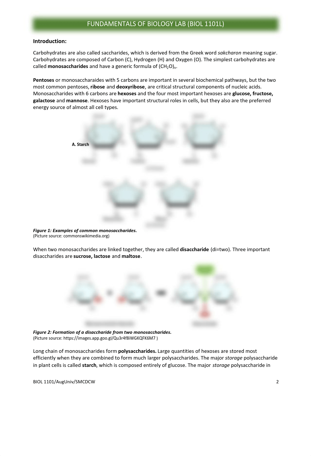 BIOL 1101 Lab 2 Carbohydrates.pdf_d26mz7et3v3_page2