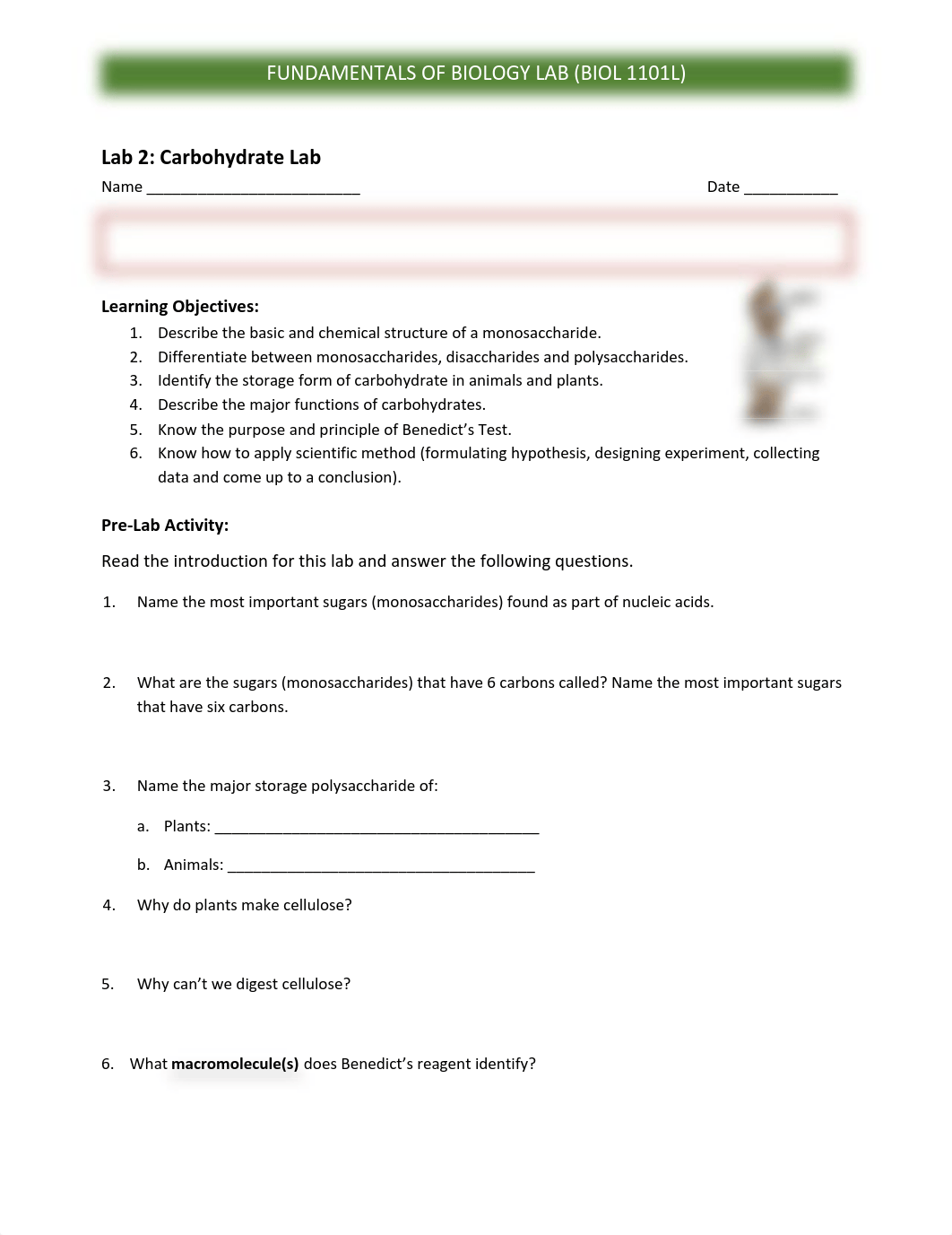 BIOL 1101 Lab 2 Carbohydrates.pdf_d26mz7et3v3_page1