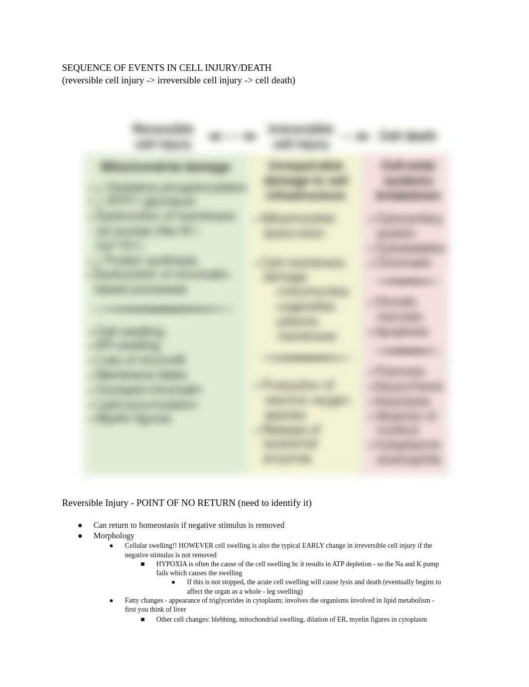 Pathophys Quiz #1.pdf_d26rkr67lj5_page3