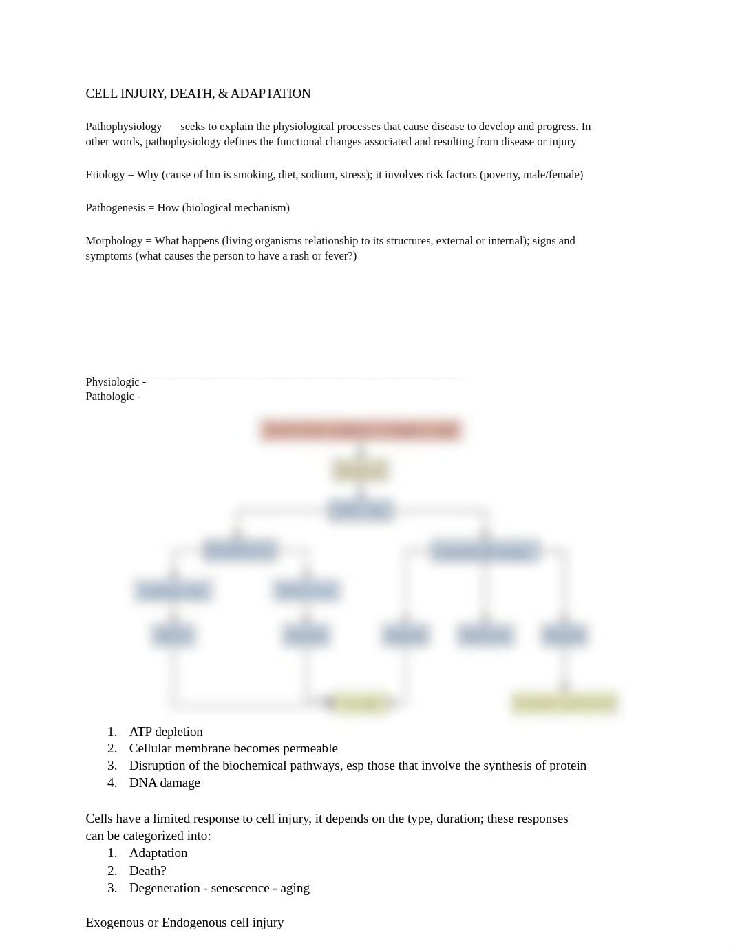 Pathophys Quiz #1.pdf_d26rkr67lj5_page1