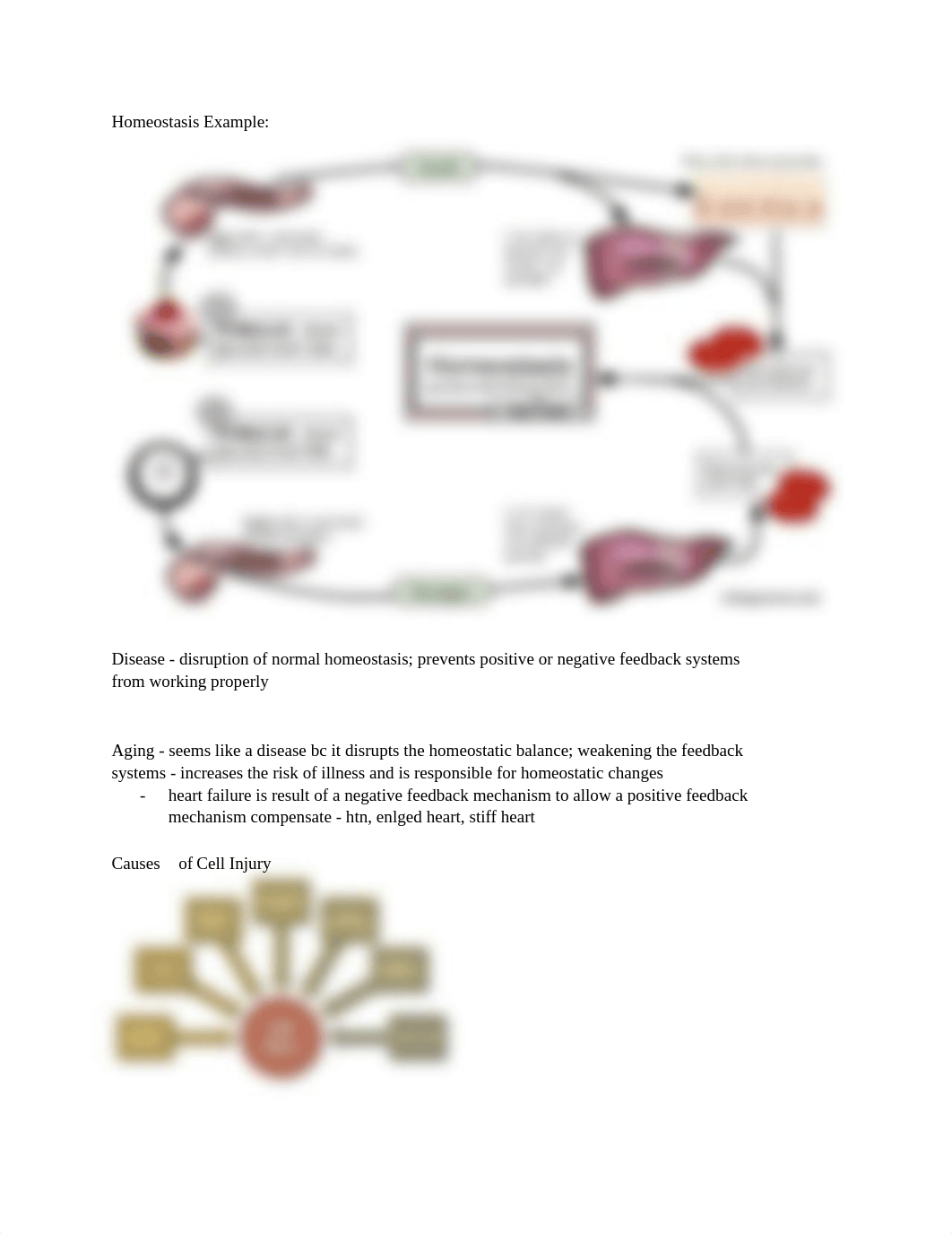 Pathophys Quiz #1.pdf_d26rkr67lj5_page2