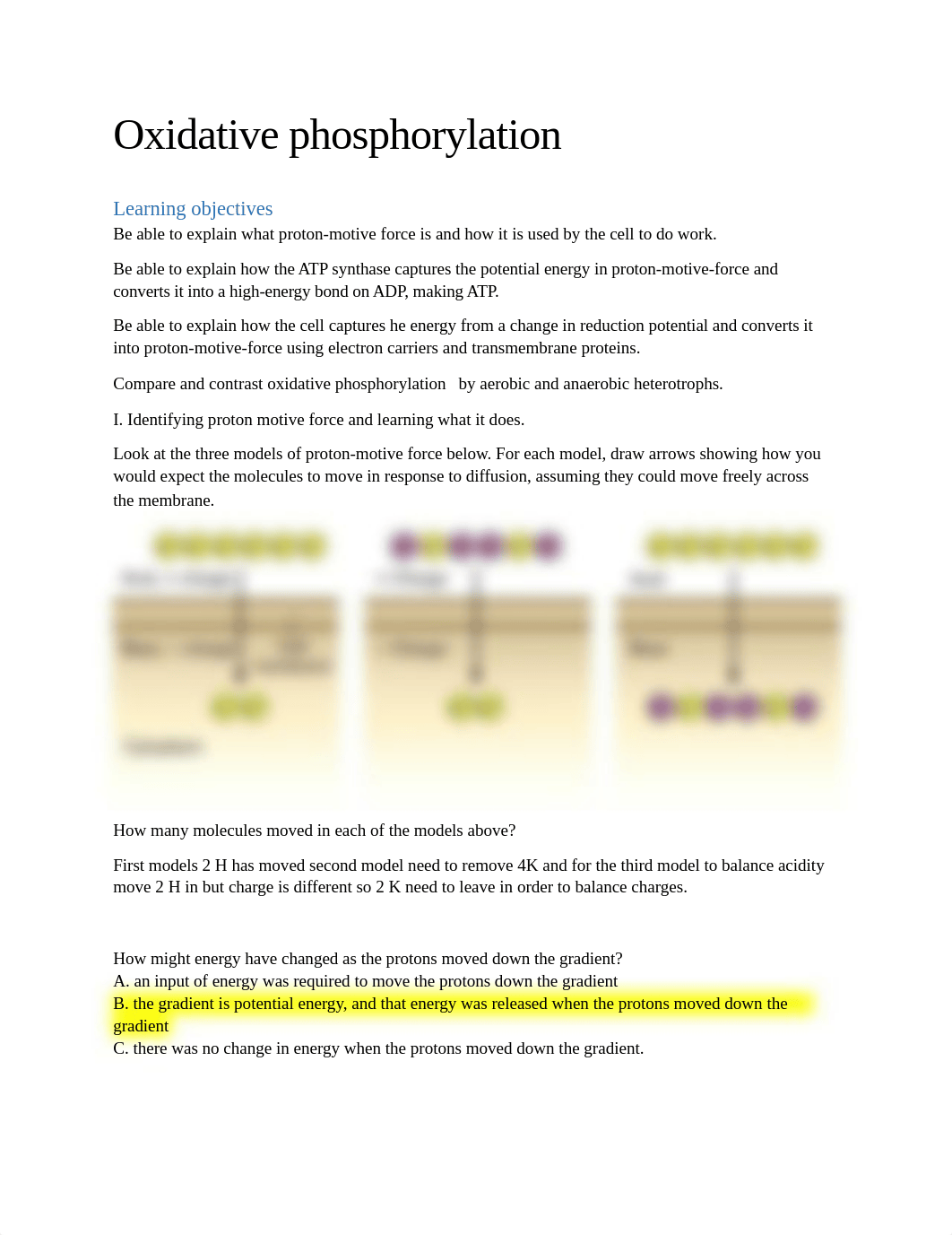 Oxidative phosphorylation worksheet-1 (1).docx_d26toqvwnpt_page1